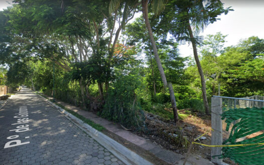 TERRENO EN VENTA EN IXTAPA, CLUB DE GOLF PALMA REAL