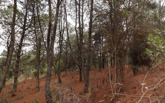 Terreno En Venta En Zirahuén, Carretera Pátzcuaro- Uruapan