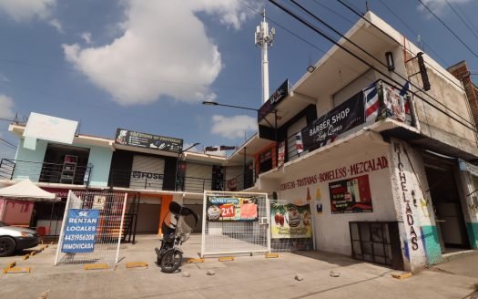 Plaza Comercial en Venta en Morelia, Avenida Torreón Nuevo