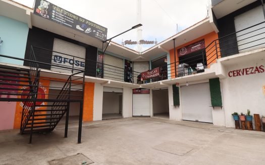 Plaza Comercial en Venta en Morelia, Avenida Torreón Nuevo