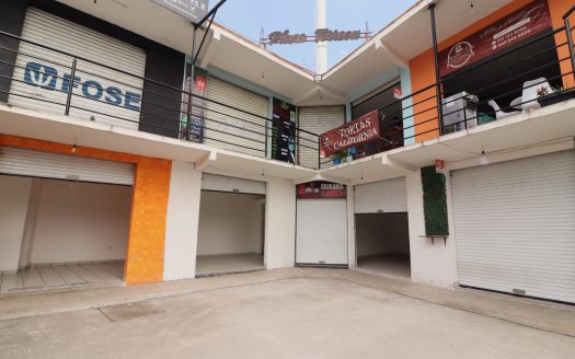 Plaza Comercial en Venta en Morelia, Avenida Torreón Nuevo