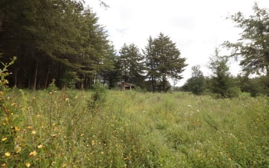 Terreno En Venta En Zirahuén