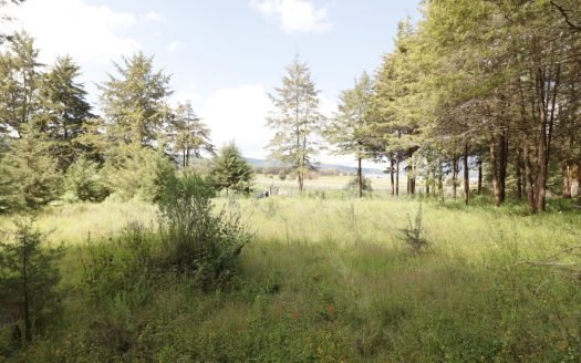 Terreno En Venta En Zirahuén