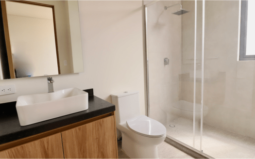PENTHOUSE EN VENTA PALMAS BOSQUE CAMELINAS