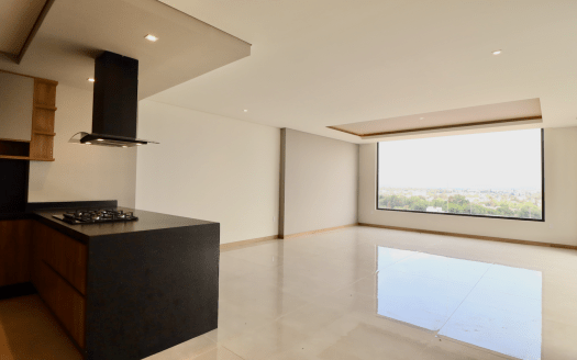 PENTHOUSE EN VENTA PALMAS BOSQUE CAMELINAS