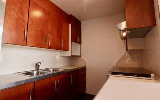 DEPARTAMENTO EN RENTA LA PALOMA, PENTHOUSE.