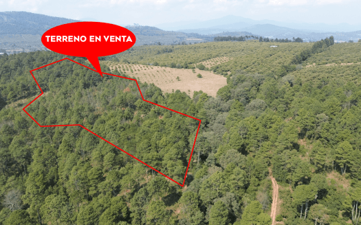 TERRENO EN VENTA EN ZIRAHUEN