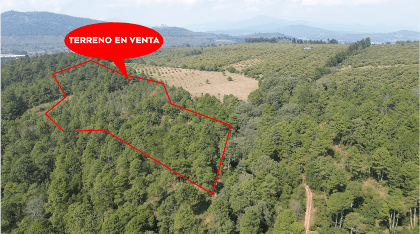 TERRENO EN VENTA EN ZIRAHUEN