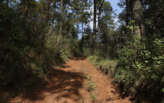 TERRENO EN VENTA ZIRAHUEN