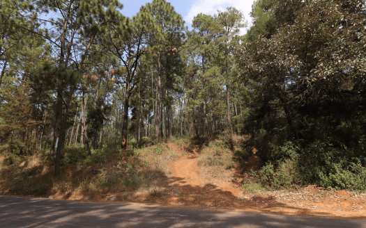 TERRENO EN VENTA ZIRAHUEN