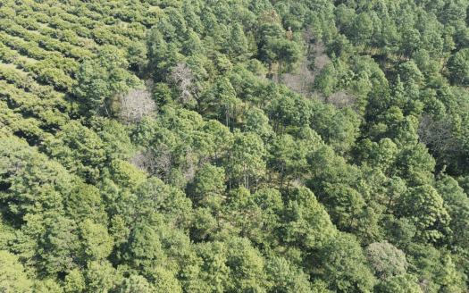 TERRENO EN VENTA ZIRAHUEN