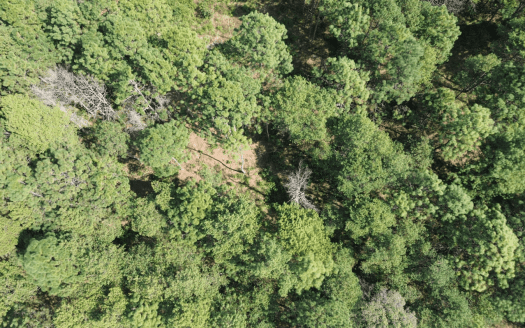 TERRENO EN VENTA ZIRAHUEN