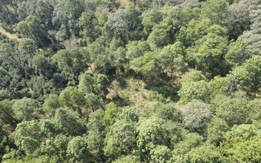 TERRENO EN VENTA ZIRAHUEN