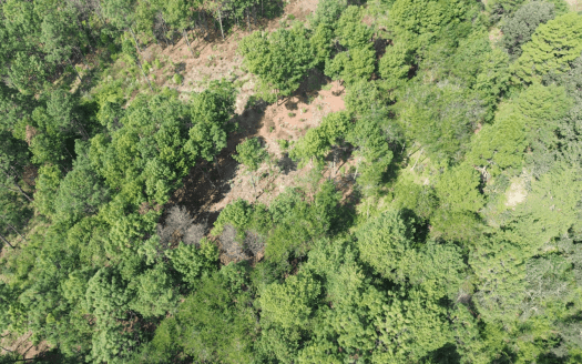 TERRENO EN VENTA ZIRAHUEN