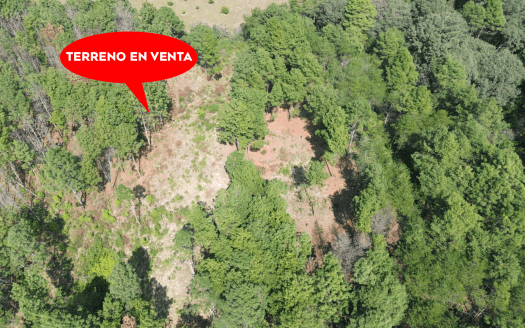 TERRENO EN VENTA ZIRAHUEN