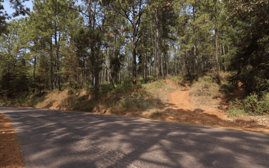 TERRENO EN VENTA ZIRAHUEN