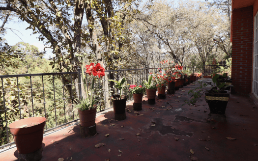 Finca en venta en Pontezuelas Michoacán