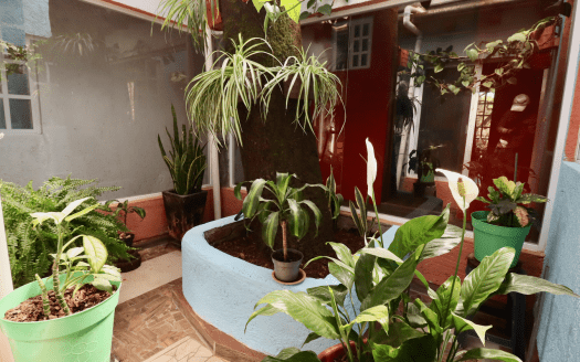 Finca en venta en Pontezuelas Michoacán