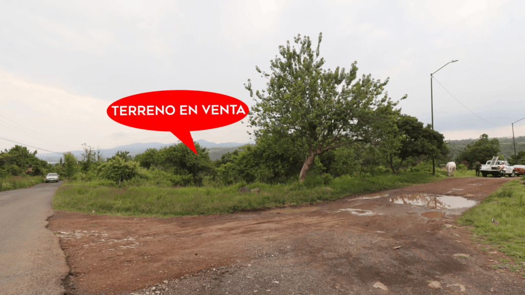Terreno en venta en San Antonio Paranguere 4
